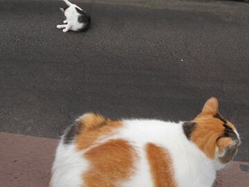 9月27日（7-12）仮