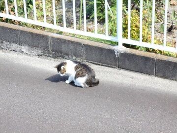 9月20日（55）仮