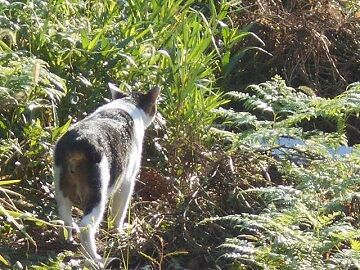 9月30日（7-19）仮