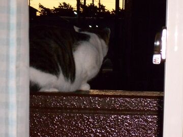 10月12日（5-9）仮