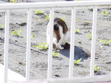 5月30日(44)仮
