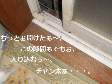6月18日(46)仮
