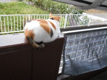 9月25日（6-2）仮