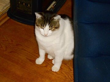 12月13日（62）仮