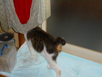 9月30日(2)仮