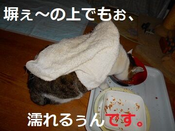 12月17日（5）仮