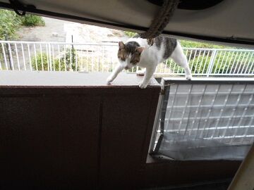 9月13日（40）仮