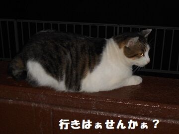 9月24日（19-14）仮