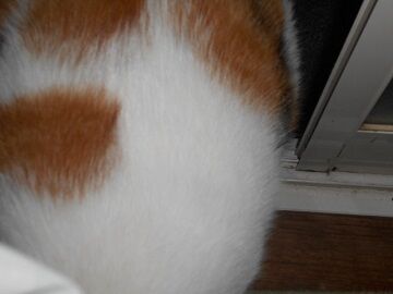 9月17日（5-6）仮