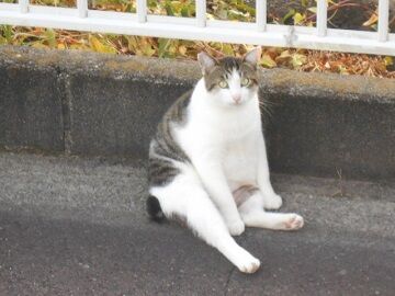 9月30日（32）仮