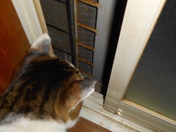 12月31日（56）仮