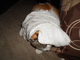 9月24日（5-9）仮