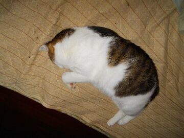 10月25日（18）仮