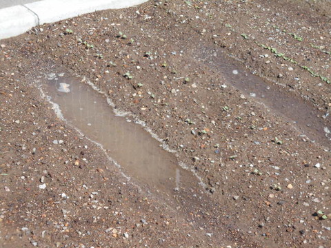 DSCN0651