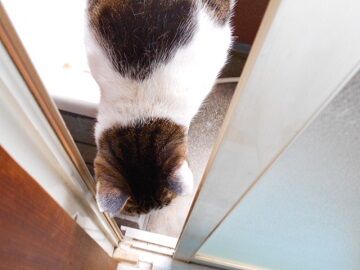 2月14日（13）仮