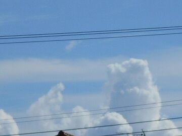 9月11日（9-5）仮