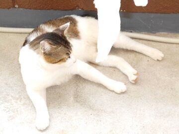 5月28日（30）仮