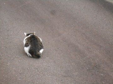 9月12日（6-4）仮