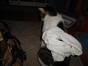 9月10日（19-2）仮