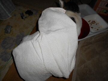 9月24日（5-11）仮