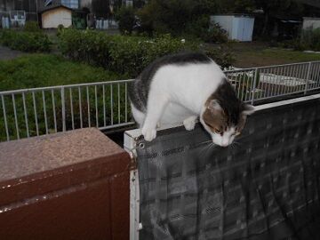 9月8日（5-2）仮