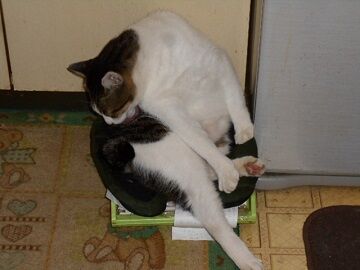 9月27日（19-18）仮