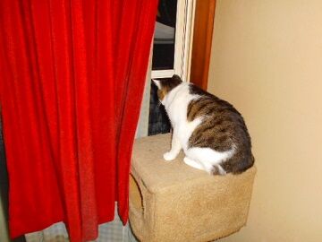 10月23日（77）仮