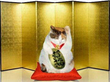 猫に小判を与えたら。