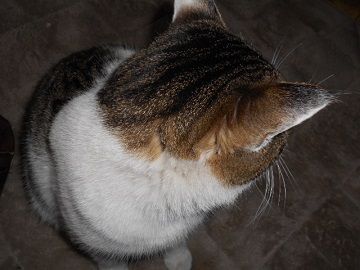 3月4日(4)