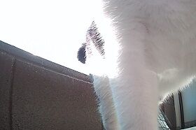 11月10日（82）仮