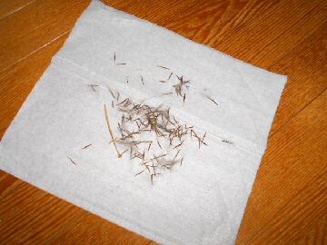 12月22日（8）仮