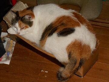 9月16日（7-2）仮