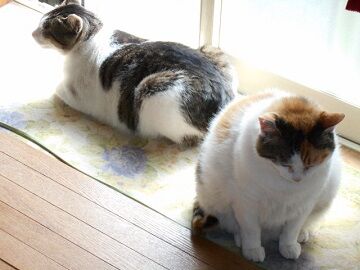 6月23日（18）仮