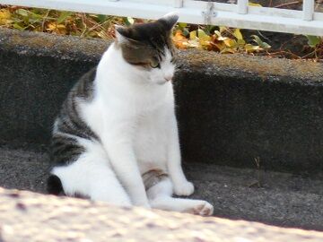 9月30日（28）仮