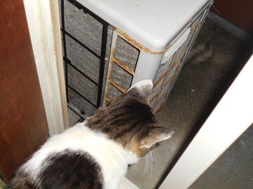 9月28日（4-6）仮