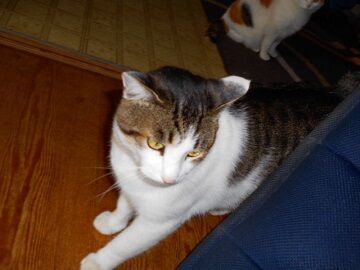 11月13日（18）仮