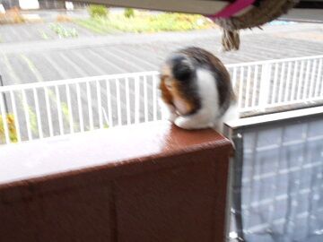 10月19日（7）仮