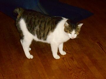 12月2日（25）仮