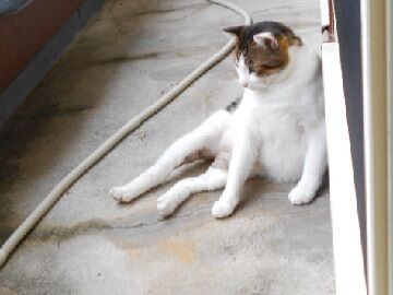 10月20日（33）仮