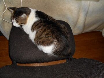 6月27日（19）仮