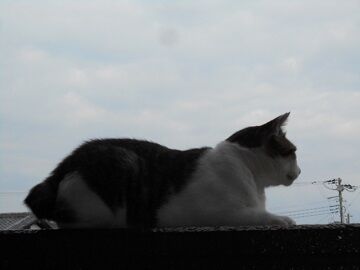 10月2日（15-23）仮