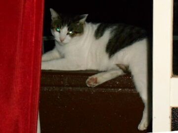 9月13日（20-1）仮