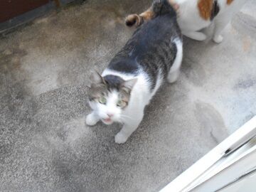 9月14日（14-1）仮