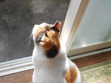 9月18日（8-4）仮