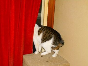 12月13日（46）仮