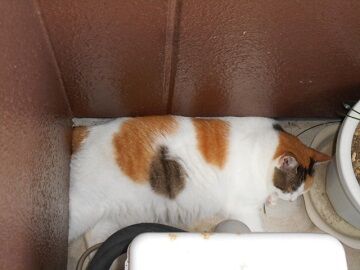 9月14日（15-2）仮