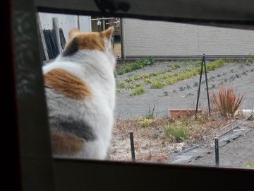 2月25日(2)