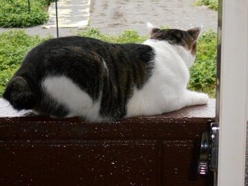 9月12日（7-1）仮