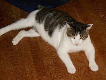 10月1日（16）仮