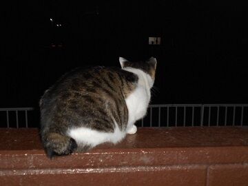 10月1日（18-15）仮